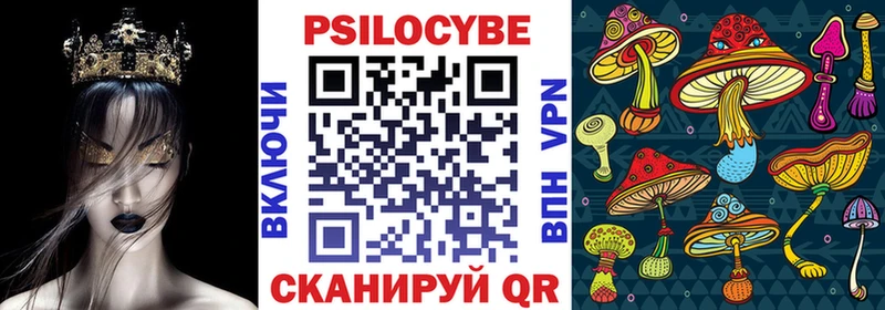 Галлюциногенные грибы Psilocybe  Киржач 