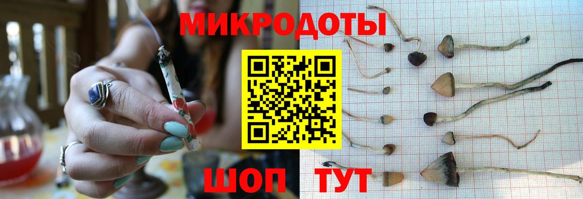 Киржач  Псилоцибиновые грибы Magic Shrooms  Вход с VPN  Псилоцибиновые грибы Magic Shrooms 