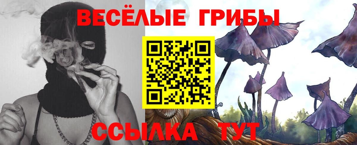 Псилоцибиновые грибы мицелий Киржач
